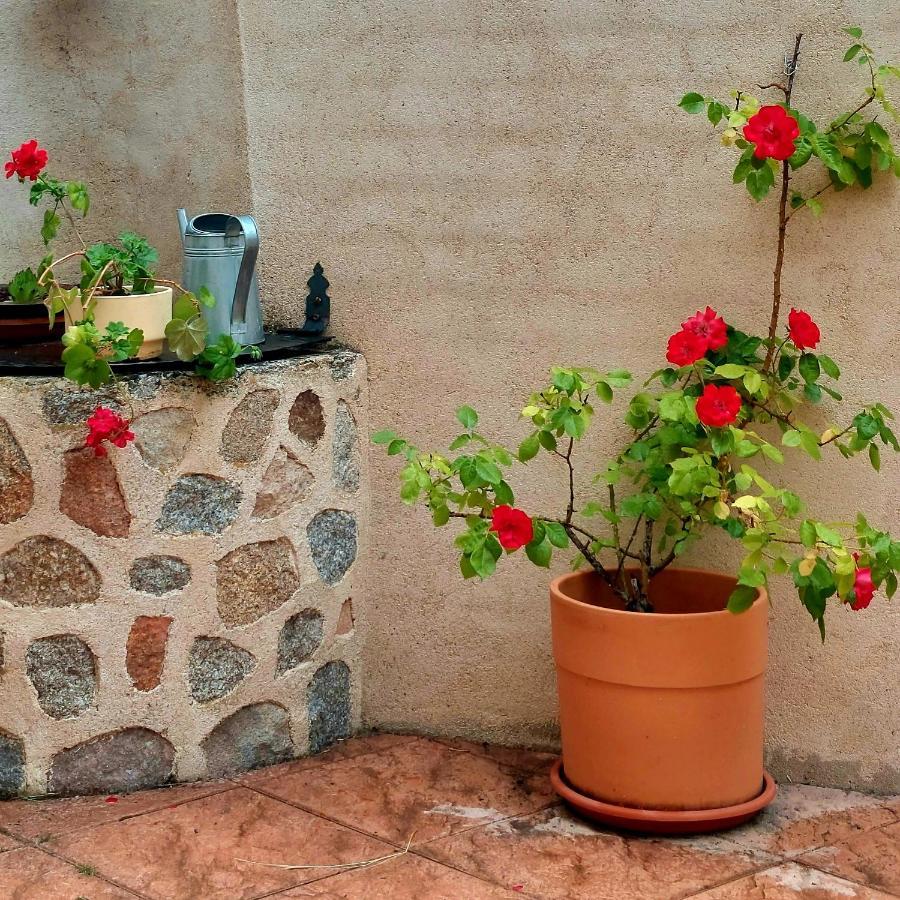 Casa Rural Abuela Reme El Fresno Εξωτερικό φωτογραφία